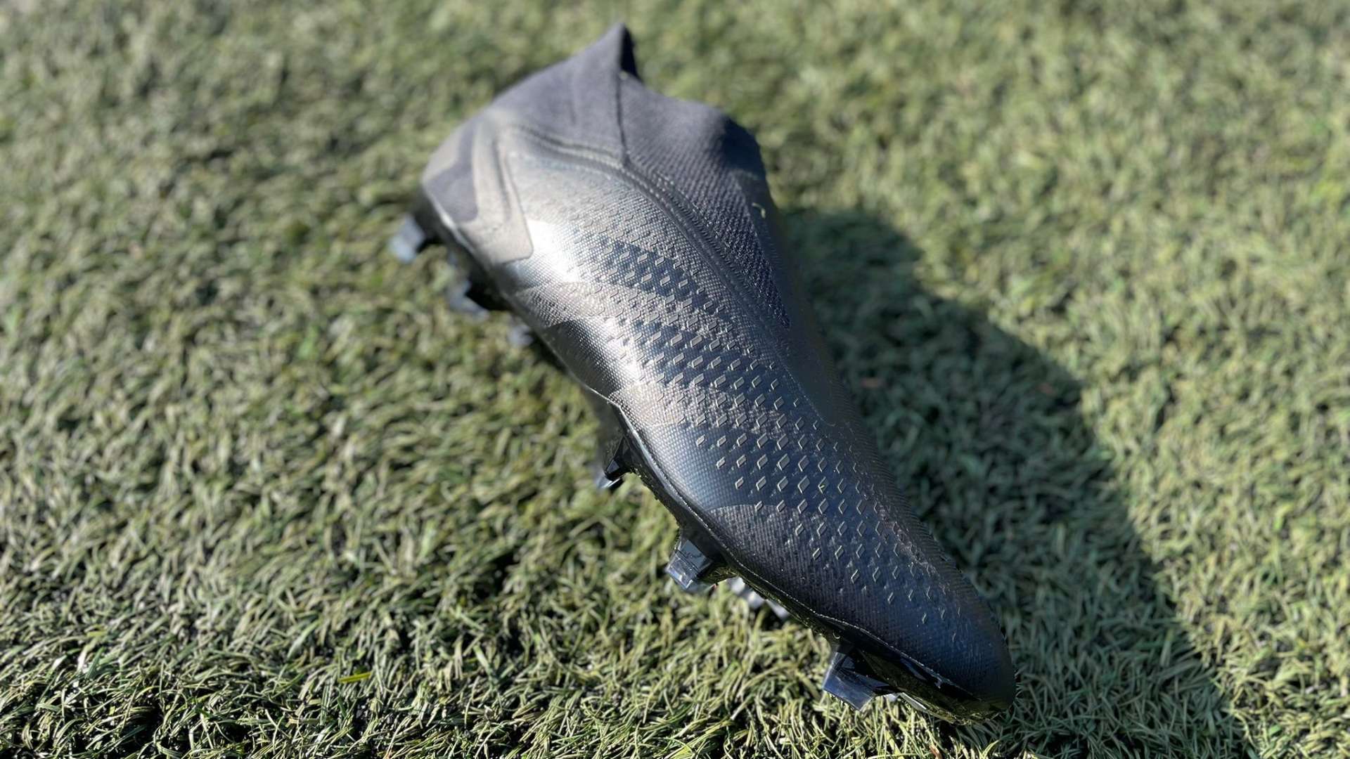 馬競的看家 馬競的看家