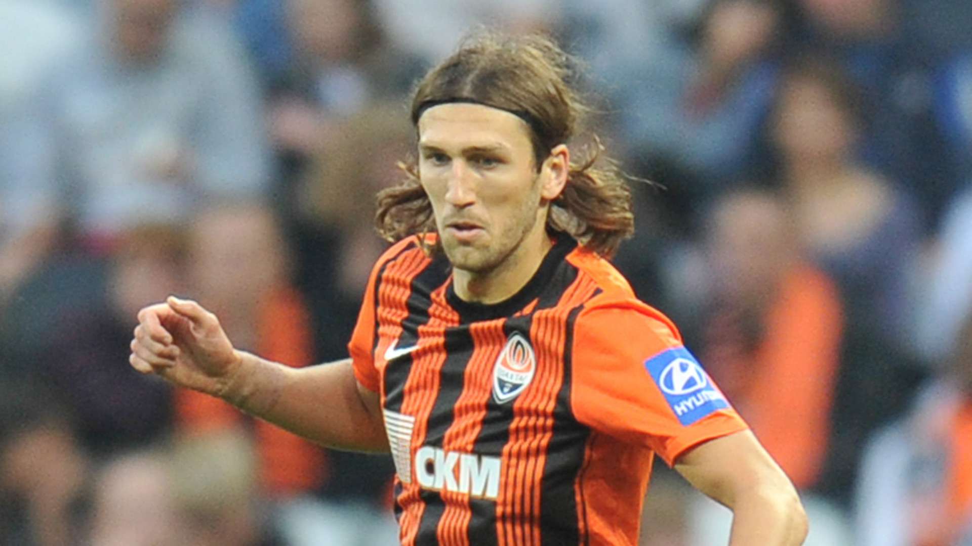 当初选择杨 当初选择杨